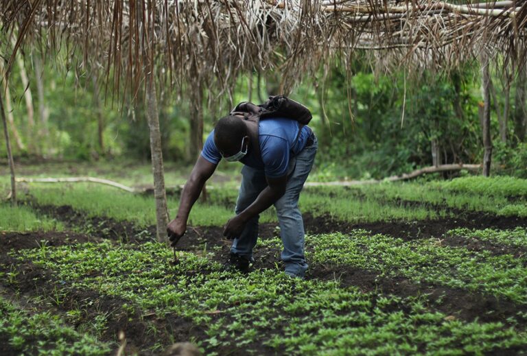 Benefits Of Organic Food